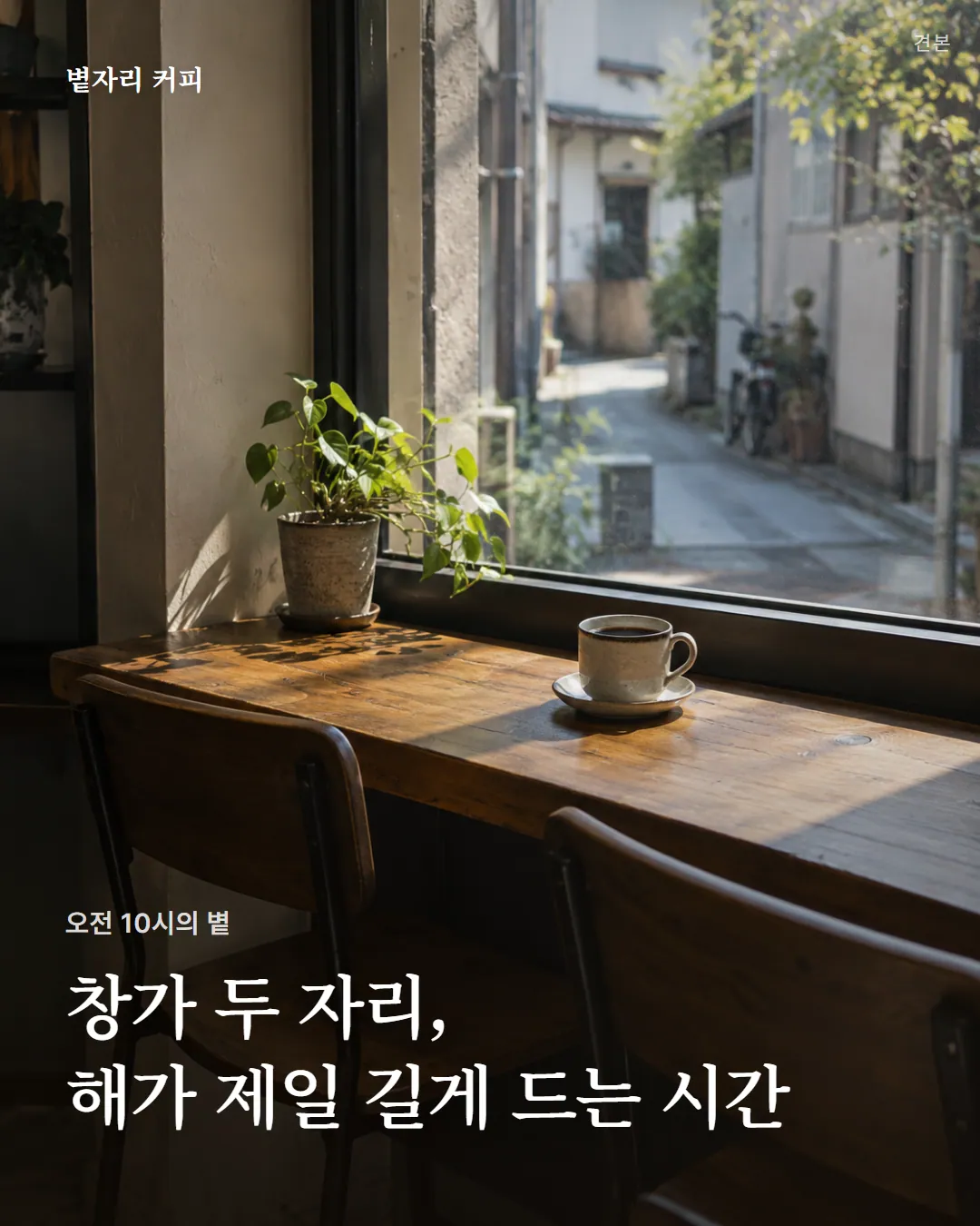 볕자리 커피 견본